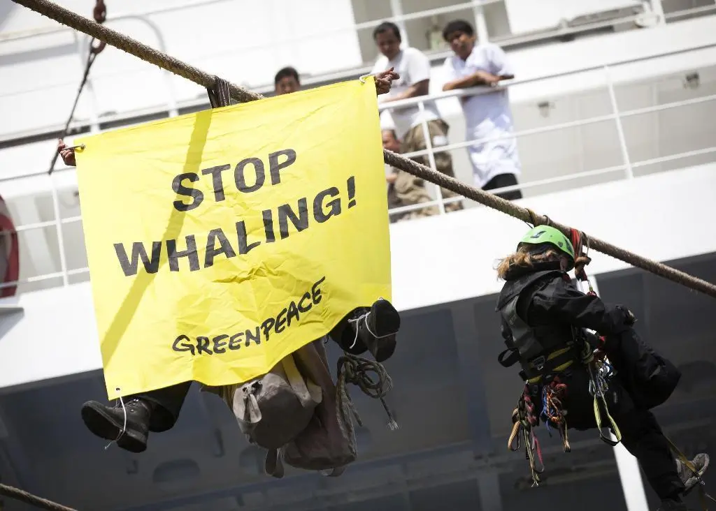 Greenpeace’s fin whale meat loading protest in Hamburg. © Daniel Mueller/Greenpeace