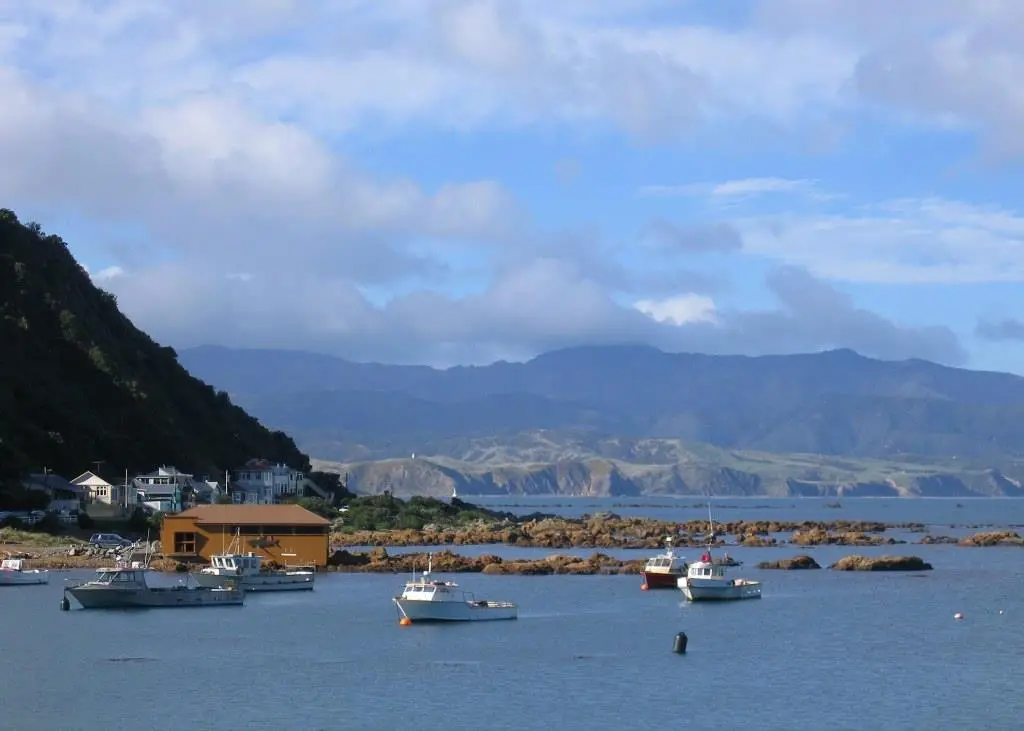 New Zealand has launched review of fish stocks. Credit: Emily Walker/CC BY-SA 2.0