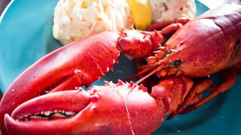 The Îles-de-la-Madeleine lobster trap fishery in Canada is now MSC certified. Credit: Benson Kua/CC-BY-SA-2.0