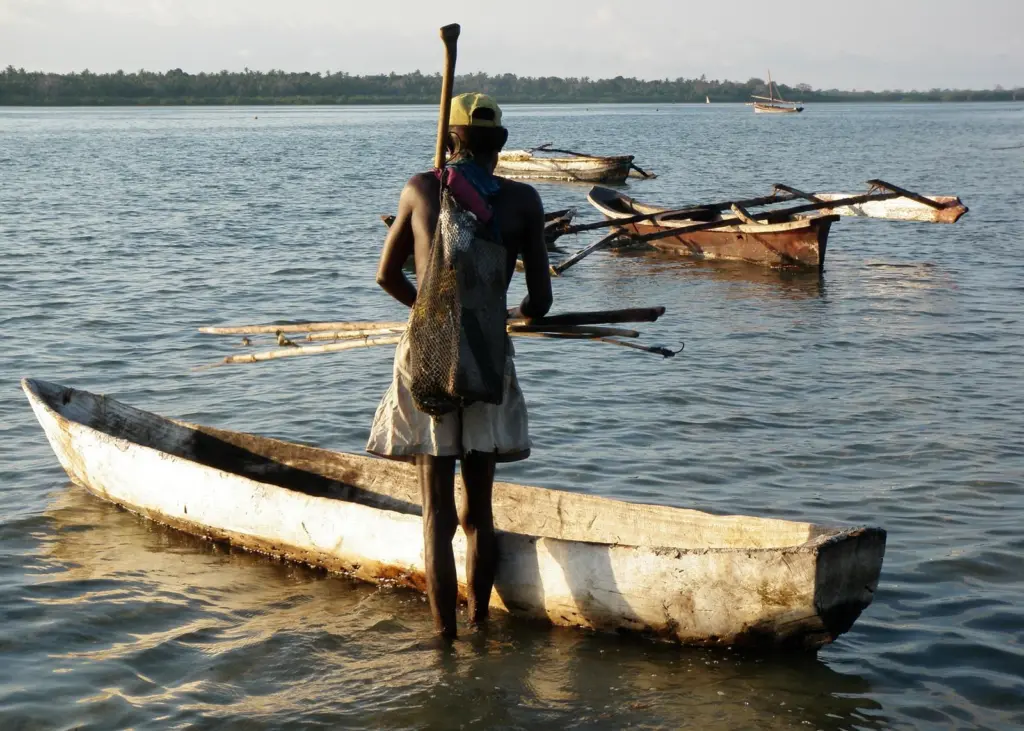 Tanzania’s octopus fishery is one of two pilot fisheries improvement projects in East Africa