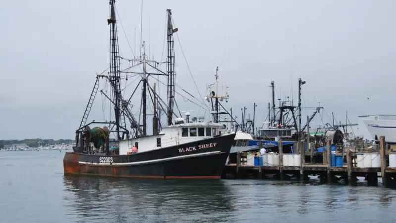 The action plan will support prawn and white fish fishermen in Scotland