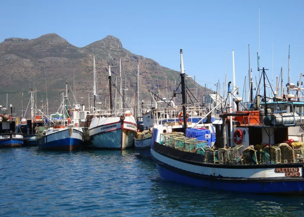 The symposium aims to improve small scale fisheries in the Mediterranean and Black Sea. Photo: Gail J Cohen
