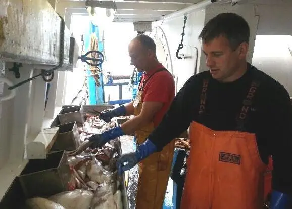 David Warwick ready to sort and gut today's catch. Photo: NFFO