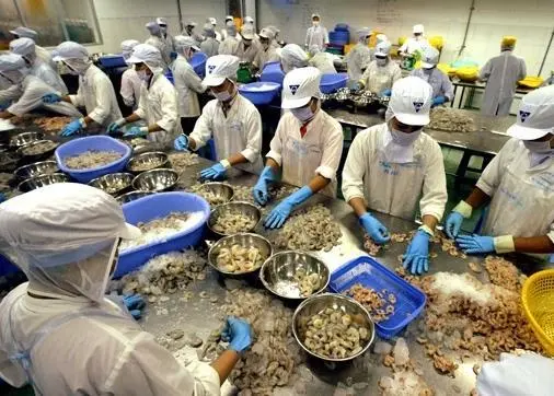 The EMS outbreak in Southeast Asia could provide second-tier producers with new opportunities