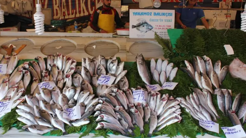 A fish market in Istanbul, Turkey