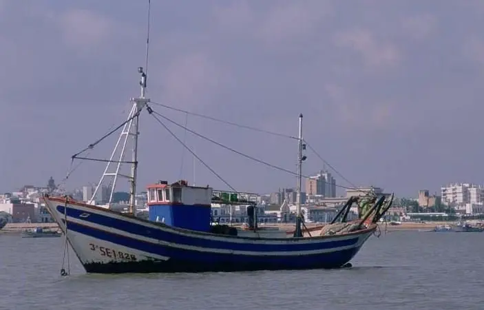 The Spanish anchovy quota has been increased. Credit: J. L. Perea/CENEAM - MMA