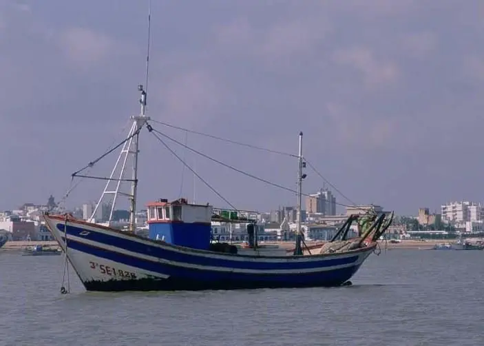 The Spanish anchovy quota has been increased. Credit: J. L. Perea/CENEAM - MMA
