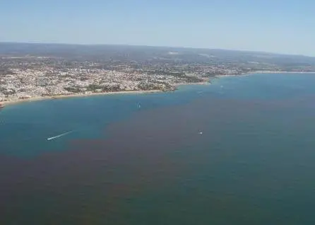 Red tide off Portugal. Credit: SAMS