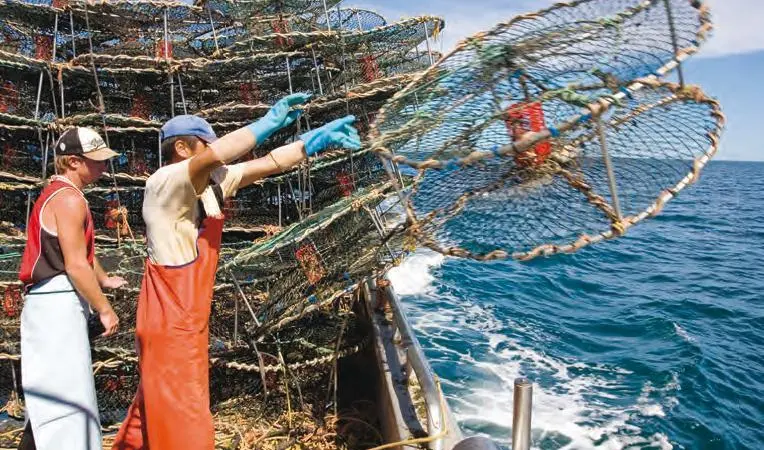 Australian fishermen are waiting to see how the new Government will develop the fisheries sector
