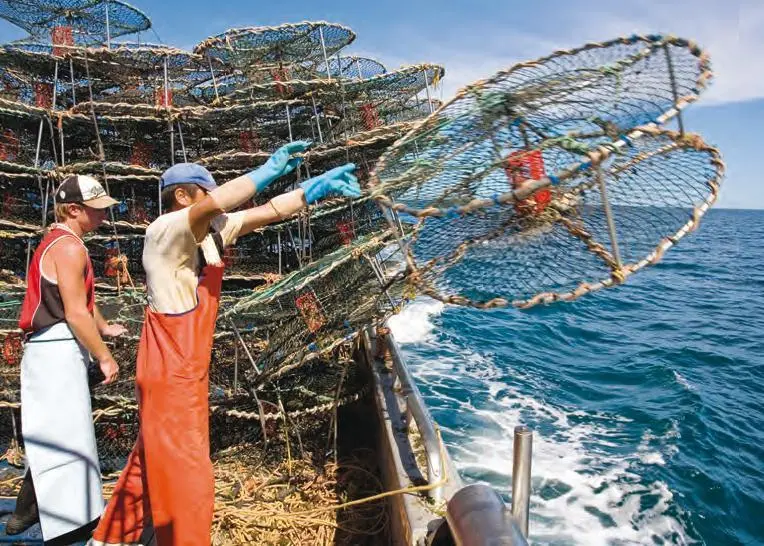 Australian fishermen are waiting to see how the new Government will develop the fisheries sector