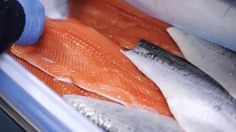 The CodeIT system will be used to label and track Marine Harvest fish boxes