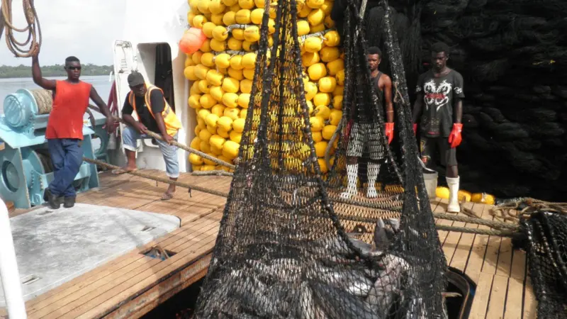 Fisheries experts say that the Pacific oceans have now reached their maximum yield potential