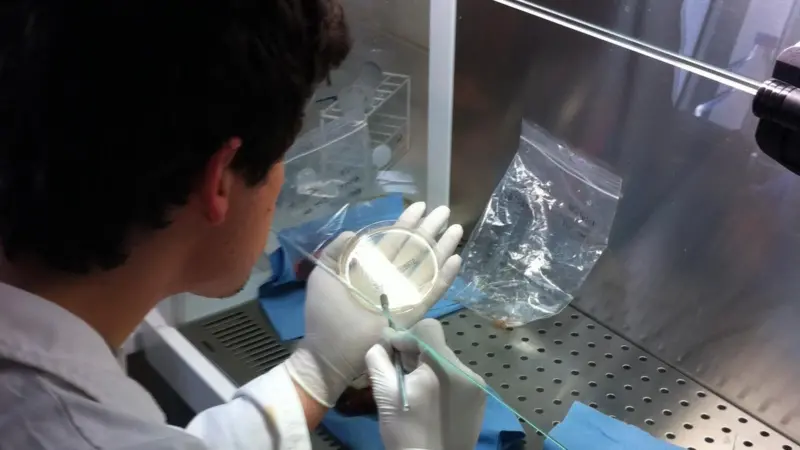 Clinical research will focus around the development and documentation of aquatic vaccines