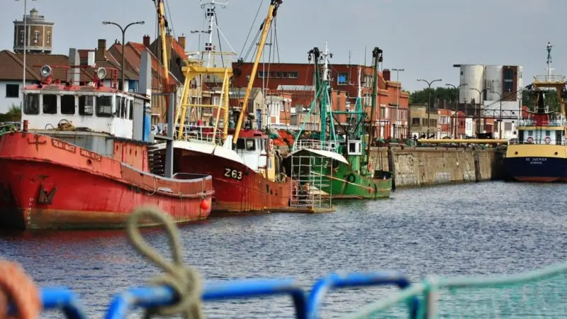 Scientists are calling on the European Parliament to invest in rebuilding stocks, not subsidies for new boats. Credit: Roysfoto/ CC BY-SA 3.0