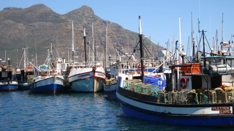 The new publication aims to help local fisheries communities decide how to use the EEF money for area development. Photo: Gail J Cohen
