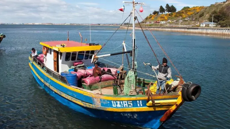 Chile’s discard ban will come into force when the research programme has been completed. Credit: Christopher Michel/CC BY 2.0