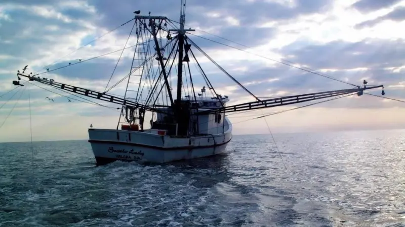 The report also shows that the average American ate 14.4 pounds of fish and shellfish in 2012, a 4% drop from the 2011 figure of 15 pounds. Altogether, Americans consumed 4.5 billion pounds of seafood. Credit: NOAA