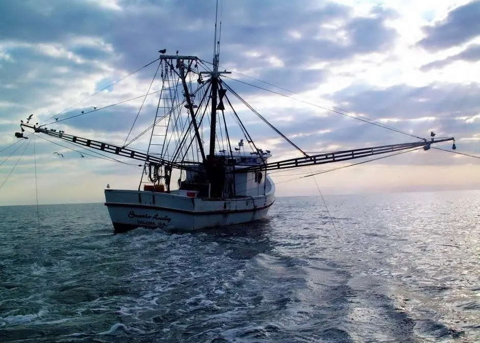 The report also shows that the average American ate 14.4 pounds of fish and shellfish in 2012, a 4% drop from the 2011 figure of 15 pounds. Altogether, Americans consumed 4.5 billion pounds of seafood. Credit: NOAA