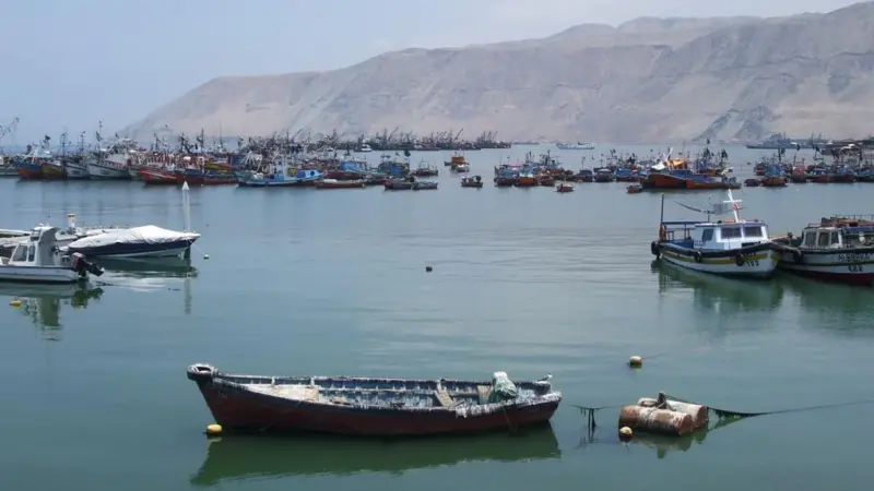The fishing harbor of Iquique in northern Chile. Credit: Redfive/CC-BY-SA-3.0