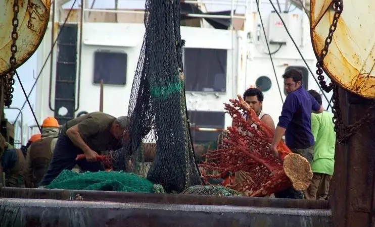 Greenpeace has criticised the vote as inadequate protect fragile deep-sea ecosystems from the destructive impacts of bottom trawling and deep-sea gillnetting. © Greenpeace