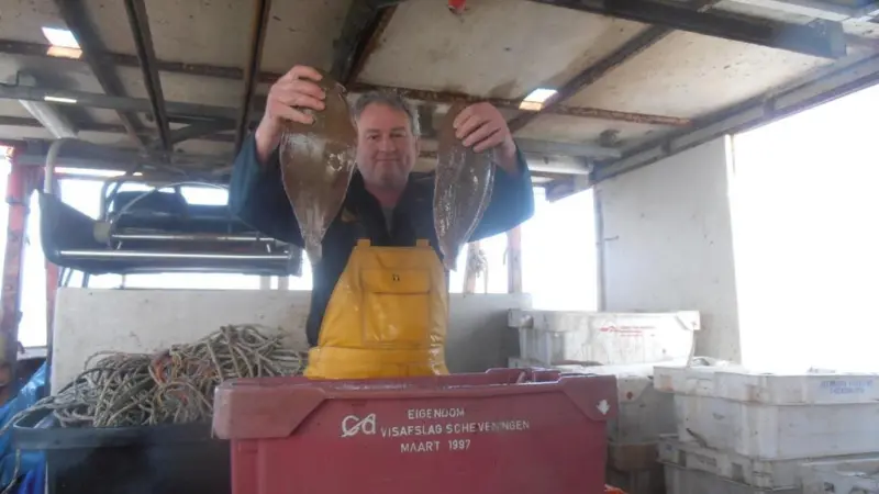 The Fish Producer Organisation and NFFO want a better on quotas for small boat fishermen