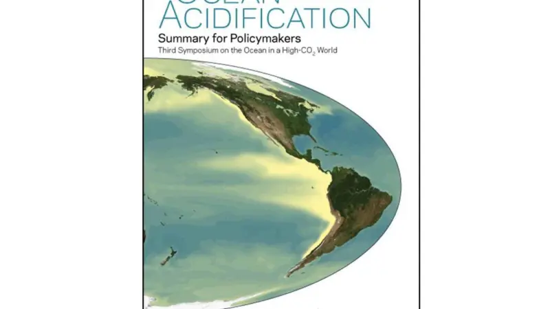 The report concludes that the acidity of the world’s ocean may increase by around 170% by the end of the century