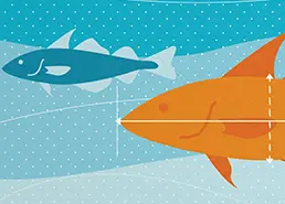 MSC Science Series, free open access library on fisheries science
