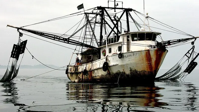The European Commission has proposed trade measures against three countries. Credit: Mike Markovina/Marine Photobank