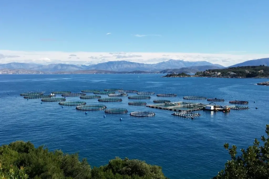 00_59739_CORFU-SEA-FARM