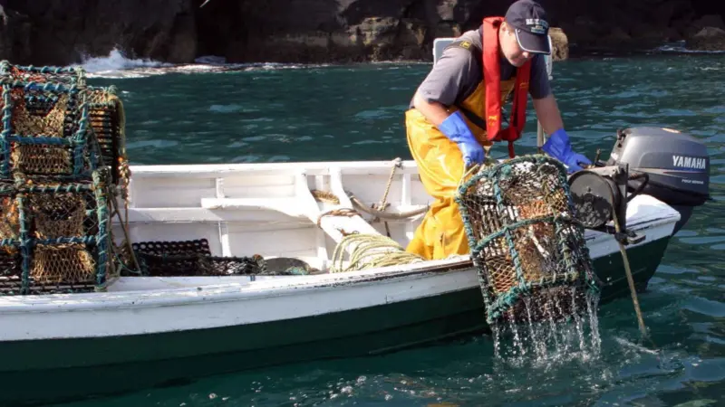 The marine research and seafood sector low carbon roadmap will help boost the Irish seafood sector. Photo: John Rafferty Photography/Marine Photobank