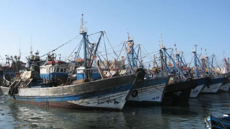 Eleven EU fishing vessels will be able to fish in the waters of the Kingdom of Morocco in return for an annual payment. Photo: travelinknu