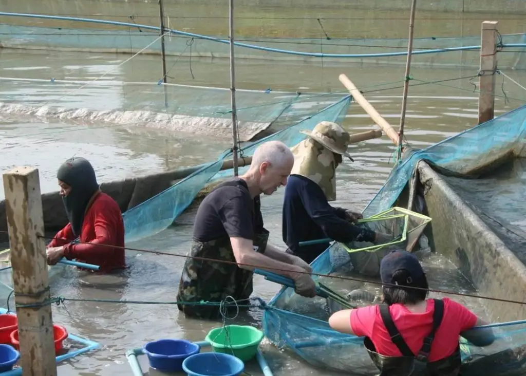 Bjørn Myrseth at a tilapia course at the Asian Institute of Technology in Bangkok in 2012