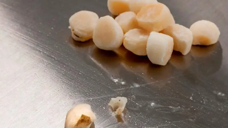 Frozen scallops account for about one third of Packopale’s production