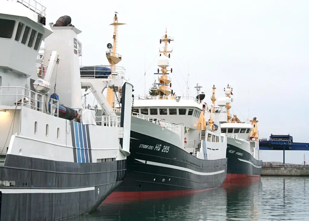 The number of fishing vessels in the Danish fleet has halved over the last 10 years © Danish Fishermen’s Association