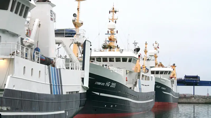 The number of fishing vessels in the Danish fleet has halved over the last 10 years © Danish Fishermen’s Association