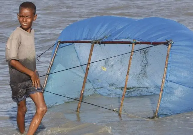 More than 400,000 people, mainly women and children, collect shrimp fry and represent the most vulnerable section in the supply chain. Credit: Environmental Justice Foundation/www.ejfoundation.org
