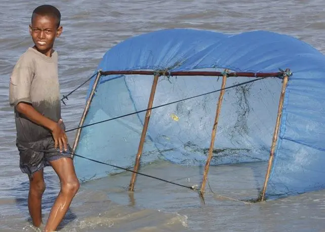 More than 400,000 people, mainly women and children, collect shrimp fry and represent the most vulnerable section in the supply chain. Credit: Environmental Justice Foundation/www.ejfoundation.org