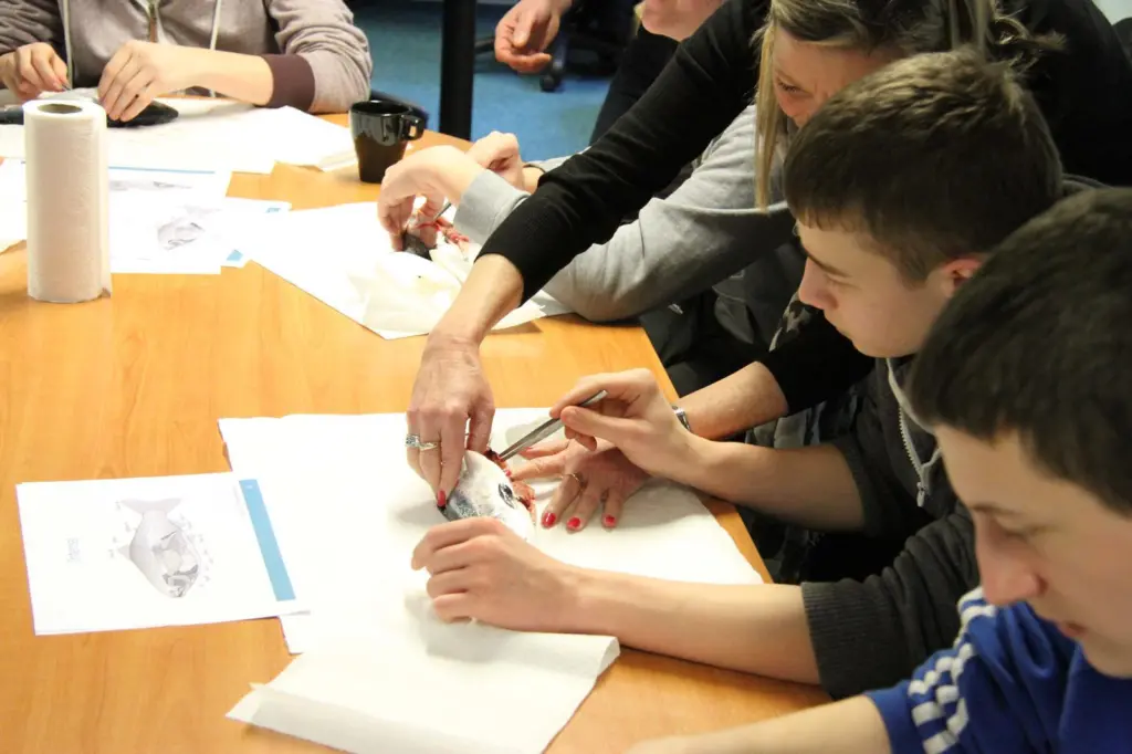 Students at Campbeltown Grammar have been given vocational workshops by SSC