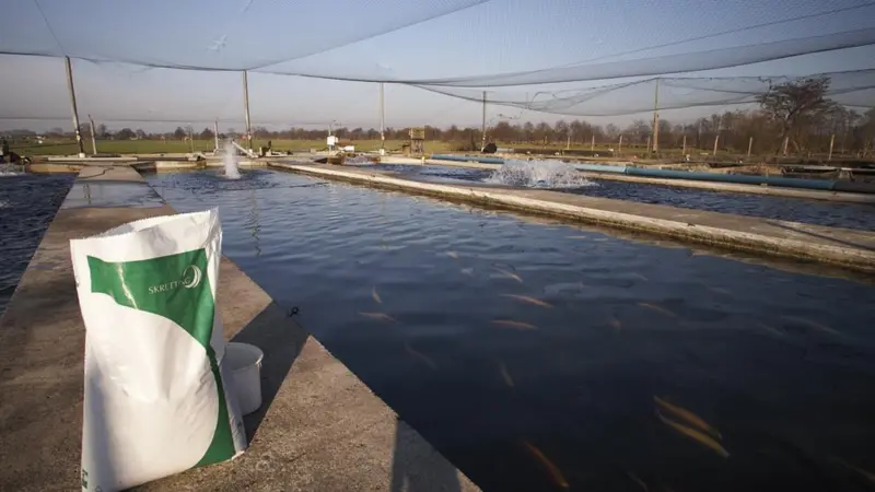The expansion means Nutreco can serve Vietnamese and Indonesian farmers and feed mills better