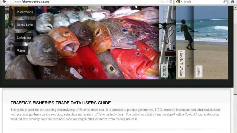 TRAFFIC's new Fisheries Trade data website aims to show enforcement officers where to look for evidence of criminal activity