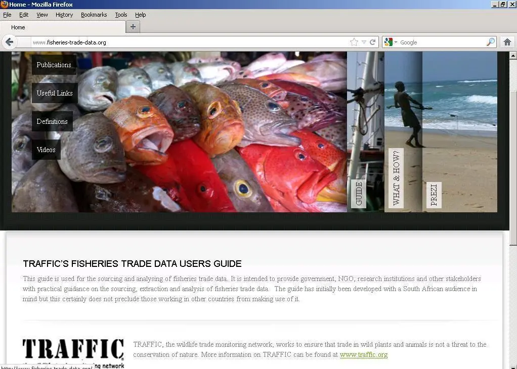 TRAFFIC's new Fisheries Trade data website aims to show enforcement officers where to look for evidence of criminal activity