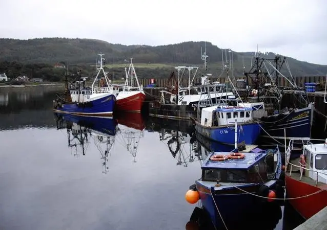 A plan to boost Scotland’s seafood sector has been awarded £700,000 in funding. Credit: Paul Farmer/CC BY-SA 2.0