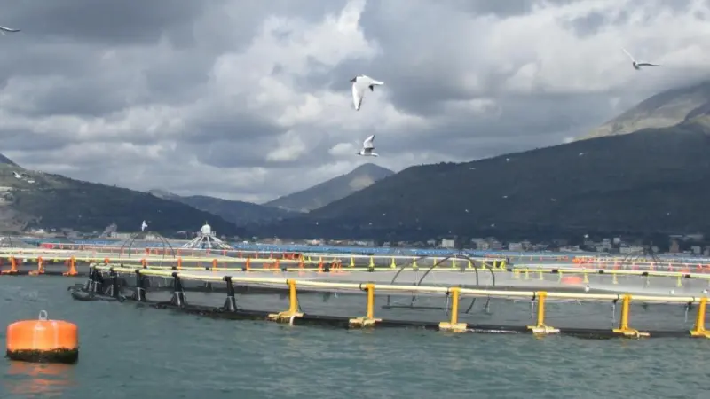 00_59763_OSM_fishfarm