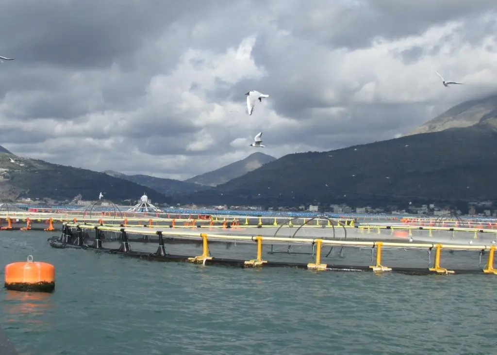 00_59763_OSM_fishfarm