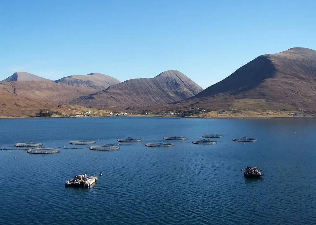 A Scottish fish farm