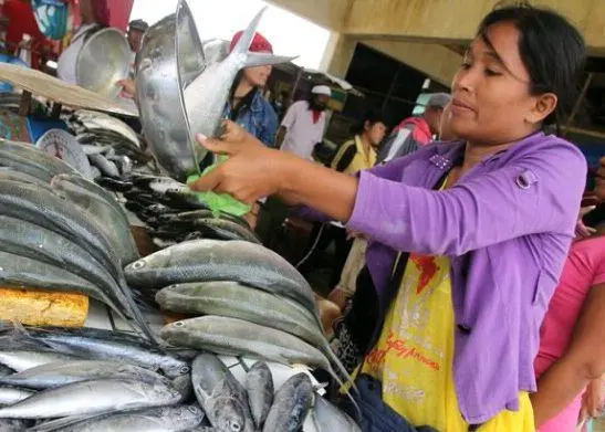 Small-scale fisheries are a great provider of employment. Credit: OCHA/Gemma Cortes