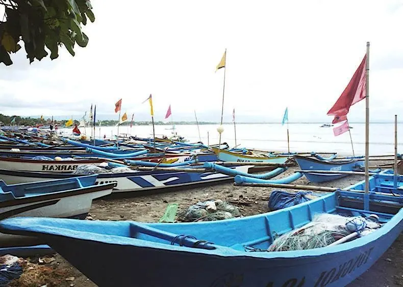 The new partnership aims to make Southeast Asia’s fishing industry more sustainable. Credit: Danumurthi Mahendra/CC BY 2.0