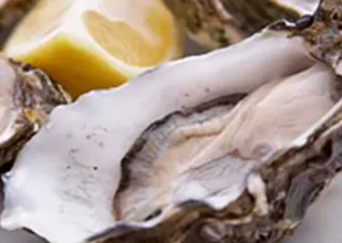 The FSA is inviting tenders for a research study to improve norovirus removal from live oysters