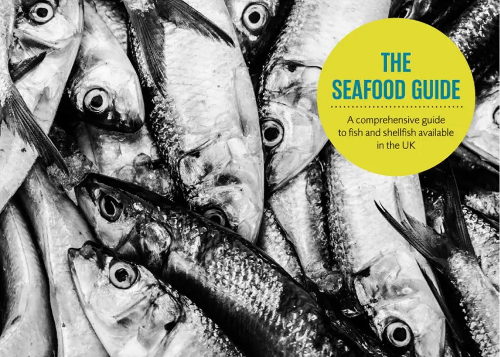 'The Seafood Guide' is a "must-have" guide for those in the food sector