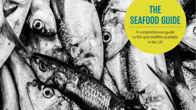 'The Seafood Guide' is a "must-have" guide for those in the food sector